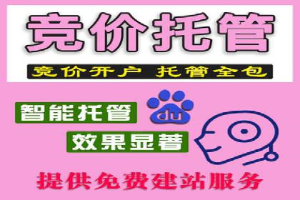 竞品分析在sem账户竞价运营中的应用案例