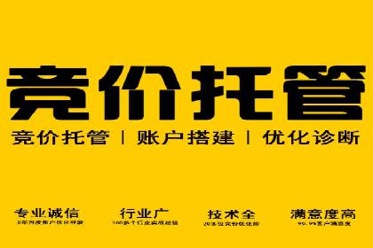 实战解析：SEM运营托管优化策略案例
